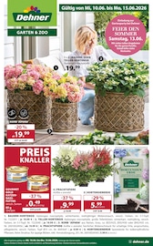 Dehner Garten-Center Baumärkte Prospekt der aktuellen Woche mit 16 Seiten, gültig von 10.06.2026 bis 15.06.2026, in Walddorfhäslach und Umgebung Aktueller Dehner Garten-Center Baumärkte Prospekt in Walddorfhäslach und Umgebung, "FEIER DEN SOMMER" mit 16 Seiten, 10.06.2026 - 15.06.2026