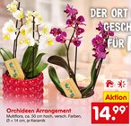 Orchideen Arrangement Multiflora von  im aktuellen Netto Marken-Discount Prospekt für 14,99 €
