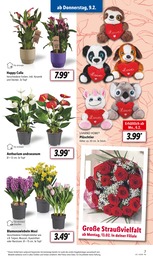 Kinderspielzeug Angebot & Preis im aktuellen Lidl Prospekt Kinderspielzeug Angebot im aktuellen Lidl Prospekt auf Seite 7