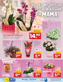 Blumen im Netto Marken-Discount Prospekt "Aktuelle Angebote" mit 75 Seiten (Hannover)
