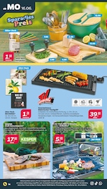 Fernseher im Netto mit dem Scottie Prospekt in Weißenfels Aktueller Netto mit dem Scottie Prospekt mit Fernseher, "Günstig. Besser. Für Dich.", Seite 19