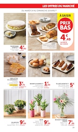 Plante Verte en promo dans le catalogue Super U à la page 29