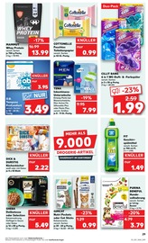 Aktueller Kaufland Prospekt mit Hundefutter, "UNSERE MEGA ANGEBOTE", Seite 29