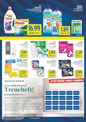 Persil im diska Prospekt in Hof Aktueller diska Prospekt mit Persil, "alles an deinem ort.", Seite 10