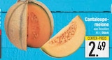 Cantaloupemelone bei E center im Wertingen Prospekt für 2,49 €