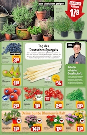 Ähnliche Angebote wie Veilchen im Prospekt "Dein Markt" auf Seite 7 von REWE in Brandenburg