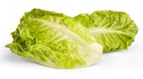 Aktuelle Salat Angebote bei Penny in Duisburg Aktuelles Deutsche Romana Salatherzen Angebot bei Penny in Duisburg ab 0,89 €