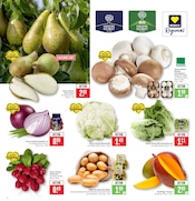 Salat im Marktkauf Prospekt in Heilbronn Aktueller Marktkauf Prospekt mit Salat, "Aktuelle Angebote", Seite 4