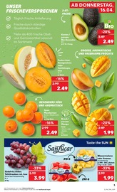 Aktueller Kaufland Prospekt mit Bio, "KNÜLLER", Seite 15