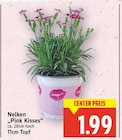 Nelken "Pink Kisses" für 1,99 € bei E center im Angebot Nelken "Pink Kisses" im aktuellen E center Prospekt