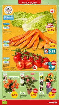 Tomaten im Penny Prospekt "Wer günstig will, muss Penny." mit 41 Seiten (München)