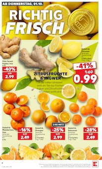 Gemüse im aktuellen Kaufland Prospekt (München) Gemüse im Kaufland Prospekt "Hier bin ich richtig" mit 66 Seiten (München)