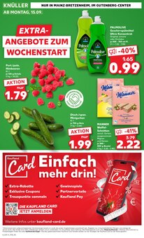 Lenor im Kaufland Prospekt "EXTRA-ANGEBOTE" mit 8 Seiten (Mainz)