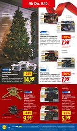 Aktueller Lidl Prospekt mit Lichterkette, "LIDL LOHNT SICH", Seite 42