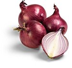 Aktuelles Zwiebeln rot Angebot bei Netto Marken-Discount in Saarbrücken ab 1,29 €