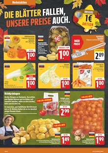 Aktueller EDEKA Prospekt für Widdern mit  Seiten