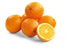 Orangen im aktuellen Prospekt bei Penny-Markt in Löhne
