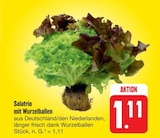 Aktuelles Salatrio mit Wurzelballen Angebot bei EDEKA in Leipzig ab 1,11 €