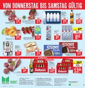Orchidee im Marktkauf Prospekt in Heilbronn Aktueller Marktkauf Prospekt mit Orchidee, "Aktuelle Angebote", Seite 36