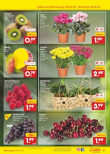 Blumen im Netto Marken-Discount Prospekt "Aktuelle Angebote" mit 57 Seiten (Dortmund)