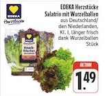 Salatrio mit Wurzelballen bei nah und gut im Jesewitz Prospekt für 1,49 €