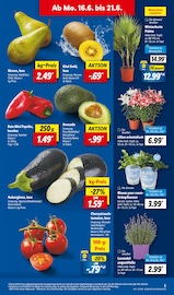Lavendel Angebote im Prospekt "LIDL LOHNT SICH" von Lidl Lavendel Angebote im Prospekt "LIDL LOHNT SICH" von Lidl auf Seite 5