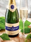 AOP champagne brut - DELAGNE & FILS en promo chez Intermarché Grenoble à 16,30 €