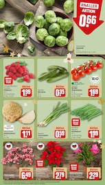 Ähnliche Angebote wie Erdbeerpflanzen im Prospekt "Dein Markt" auf Seite 9 von REWE in Göttingen