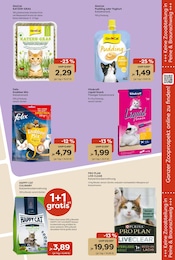 Aktueller Garten-Center Nordharz GmbH & Co. KG Prospekt mit Waschmaschine, "Farben Düfte Frühlingsfreude", Seite 13