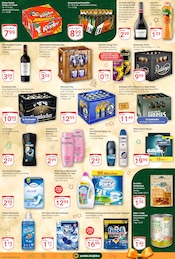 Aktueller GLOBUS Prospekt mit Hundefutter, "Aktuelle Angebote", Seite 8