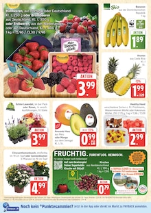 Bio Bananen im aktuellen Marktkauf Prospekt (Hamburg) Bio Bananen im Marktkauf Prospekt "Top Angebote" mit 44 Seiten (Hamburg)