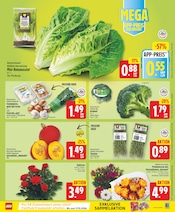 Blumen im WEZ Prospekt in Bad Salzuflen Aktueller WEZ Prospekt mit Blumen, "Die WEZette", Seite 3
