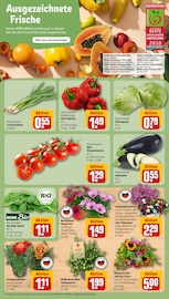 Blumen im REWE Prospekt in Magdeburg Aktueller REWE Prospekt mit Blumen, "Dein Markt", Seite 7
