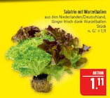 Aktuelles Salatrio mit Wurzelballen Angebot bei Marktkauf in Leipzig ab 1,11 €