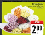 Aktuelle Blumen Angebote bei E center in Jena Aktuelles Chrysanthemen Angebot bei E center in Jena ab 2,99 €