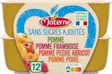 COUPELLES DE COMPOTES SANS SUCRES AJOUTÉS MATERNE - MATERNE en promo chez Auchan Hypermarché COUPELLES DE COMPOTES SANS SUCRES AJOUTÉS MATERNE - MATERNE dans le catalogue Auchan Hypermarché
