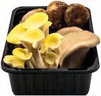 EDEKA Stadtlohn - Kräuterseitling Angebot im Prospekt Kräuterseitling bei EDEKA im Stadtlohn Prospekt für 3,99 €