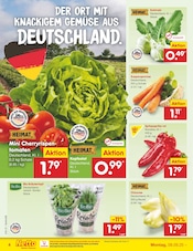 Tomaten im Netto Marken-Discount Prospekt in Stralsund Aktueller Netto Marken-Discount Prospekt mit Tomaten, "Aktuelle Angebote", Seite 4