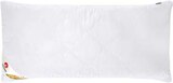 Aktuelles Kopfkissen Polygiene ca. 40 x 80 cm Angebot bei Lidl in Hildesheim ab 5,99 €