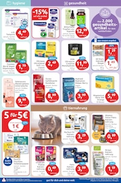 budni Purina im Prospekt budni Purina im Prospekt