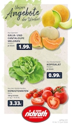 REWE Prospekt "Dein Markt", 24 Seiten, 08.06.2026 - 08.06.2026 Aktueller REWE Prospekt, "Dein Markt", mit Angeboten der Woche, gültig von 08.06.2026 bis 08.06.2026