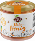 Aktuelle Honig Angebote bei Netto Marken-Discount in Hannover Aktuelles Blütenhonig Angebot bei Netto Marken-Discount in Hannover ab 2,69 €