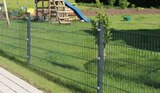 Doppelstabmatte Typ 6/5/6 im Hornbach Prospekt Doppelstabmatte Typ 6/5/6 von im aktuellen Hornbach Prospekt für 52,95 €