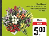 2 Bund Tulpen bei EDEKA im Frauenstein Prospekt für 5,00 €