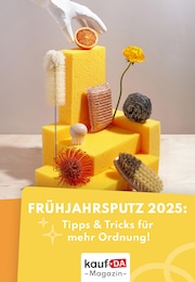 kaufDA Magazin Prospekt für Erding: "Frühjahrsputz Ratgeber", 1 Seite, 05.03.2025 - 02.04.2025