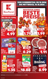Kaufland Prospekt für Rüsselsheim mit 70 Seiten Kaufland Prospekt für Rüsselsheim: "Hier bin ich richtig", 70 Seiten, 08.10.2026 - 14.10.2026