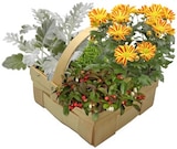 Herbstprinz & Herbstprinzessin Angebote bei REWE Salzgitter für 9,99 €
