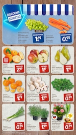 Pflanzen im nahkauf Prospekt in Celle Aktueller nahkauf Prospekt mit Pflanzen, "nichts liegt näher", Seite 3