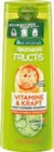 Shampoo im Angebot bei Netto Marken-Discount in Kirchheim Shampoo Angebote von Garnier Fructis bei Netto Marken-Discount Kirchheim für 1,99 €