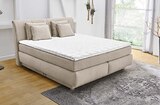 BOXSPRINGBETT „TASSIA“ Angebote bei porta Möbel Bonn für 1.199,00 €